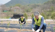 홍재은 NH농협생명 대표, ‘명예이장’으로 농촌 일손돕기