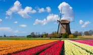 ‘풍차의 나라’ 덮친 오버투어리즘…네덜란드 ‘관광세’ 도입 도마 위