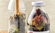 진달래·매화·아카시아·국화…꽃담금주로 즐겨볼까