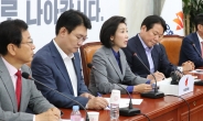 나경원 “국정원장ㆍ여당 실세 밀회…‘정보 관권선거’ 시작 의심”