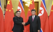 의미심장한 시진핑 방북시기…“中의 치밀한 전략, 3차 북미회담 가능성 높일것”