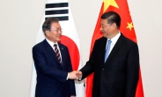 시진핑 ‘사드 문제’ 언급에…文대통령 “비핵화와 연동”