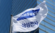삼성전자 전세계 임직원수 31만명…한국만 증가