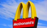 “햄버거 패티가 날고기”…맥도날드 ‘황당’ 햄버거