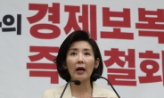나경원 “한국당=친일 프레임?…친일 핵심 후손 민주당에 더 많다”