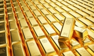 ‘强달러 둔화+경기침체 우려’에 탄력 받는 金…“ETF는 금보다 금광” [투자360]