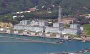 日 “후쿠시마 원전 오염수 처리 계획, 아직 확정된 것 없어”