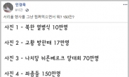 민경욱 “좌좀들 150만”…검찰개혁 촛불집회 참가자들 비하
