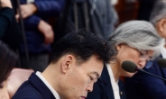 [헤럴드pic] ‘메모하는 김오수 법무부 차관’