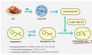 세계김치硏, 김치에서 항균활성 기능성물질 발굴