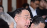[헤럴드pic] ‘경제활력대책회의를 주재하는 홍남기 부총리’