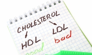 이상지질혈증 환자, 음식으로 먹는 지방도 혈중 콜레스테롤 높일 수 있어