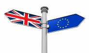 영국현지 지사 둔 국내기업 ‘.eu’ 도메인 폐기·갱신해야