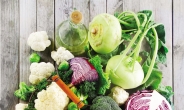 토종 ‘십자화과 채소’ 항암효과 으뜸