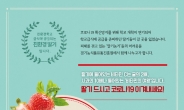 경기도, ‘친환경 딸기’ 저렴하게 구매하는 초간단비법