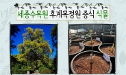 개원 앞둔 국립세종수목원, 상징성 역사성 희귀성 갖춘 해외식물유전자원 데뷔