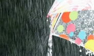 [날씨]어린이날, 전국 대체로 흐리고 비