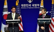 한미국방장관 화상회의 이달중 개최…'북한 리스크' 현안 부상
