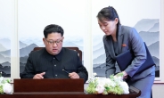 [속보]김여정 “비핵화 않겠다는 것 아냐…중대조치 있어야 가능”