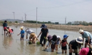 강서구, 논 습지 활용 환경 살리기 프로젝트