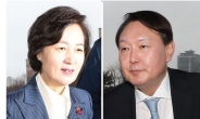 “직무수행 지지도 윤석열 43%, 추미애 40%”