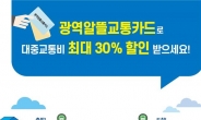 알뜰교통카드, 서울 전역 확대…교통비 최대 30% 절감