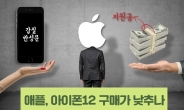 ‘갑질’ 반성 애플, 아이폰12 구매가 낮추나 [IT선빵!]