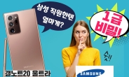 갤노트20 삼성 직원 가격 ‘극비!’…“얼마나 싸길래?” [IT선빵!]