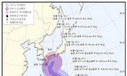 제14호 태풍 ‘찬홈’ 우리나라에 영향 없을 듯…일본 향해 북상