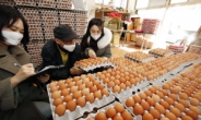 달걀 값이 너무해…AI발 ‘계란파동’ 재현?![언박싱]