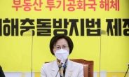 [헤럴드pic]  회의를 주재하는 강은미 비상대책위원장
