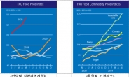 세계식량가격지수, 전월비 4.8%↑ 12개월 연속 상승
