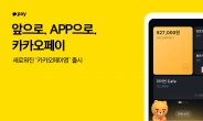 카카오페이 앱 전면 개편…사용자가 직접 구성