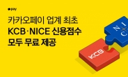 카카오페이, NICE·KCB 신용점수 제공