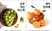 ‘1등과일만 판매’…롯데百 강남점, 프리미엄 과일 전문관 오픈