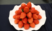 딸기·포도 수출액 첫 1억달러 돌파…역대 최대 기록