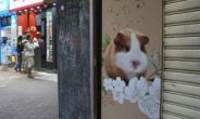 홍콩, 햄스터 2000마리 안락사 파문…“개·고양이도 죽일거냐” 반대청원