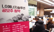‘IPO대어’ LG엔솔, 팔수록 성공?