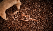 커피값 천정부지로 치솟나…글로벌 커피 재고량 22년 만에 최저
