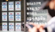 尹인수위, 부동산 정책 발표 안 한다…추경호·원희룡이 청문회서 설명 [부동산360]