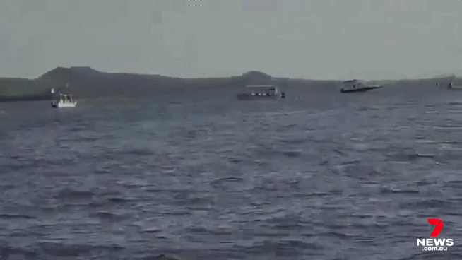 [영상]뿔난 혹등고래, 점프해 관광보트 덮쳤다