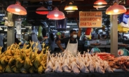 ‘식량 보호주의’ 확산…말레이시아 닭 수출 금지