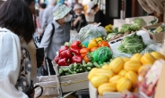 고삐 풀린 밥상물가…저소득층, 가처분소득 절반가량 식비 지출