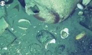 300년 전 카리브해 ‘전설의 보물선’ 찾았다…추정 가치만 21조원