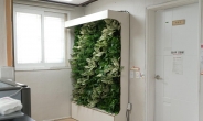 포스코, 포항·광양 아동복지시설 20곳에 ‘벽면 녹화 사업’