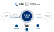 밸류맵, 국내 최초 한국형 아이바잉 서비스 진출