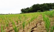 환경부, 가뭄 피해 예방을 위한 공주보 수위 상승 추진