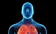 폐 염증막는 ‘단백질’ 발견…신개념 폐 질환 치료제 나올까?