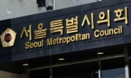 서울시의회도 이재명 대표 논란에 뛰어든다…희망살림 대표 출석요구서 발송