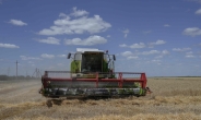 우크라이나 곡물 수출 개시로 평화 기대감↑…KB증권 “3분기 곡물가격 하향 안정 전망”